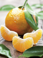 Mandarine Pamplemousse